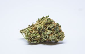 Candy Jack Marijuana Strain