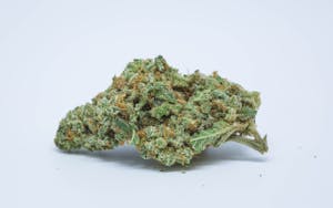 Cherry Diesel Marijuana Strain