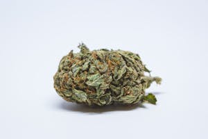 Conspiracy Kush Marijuana Strain