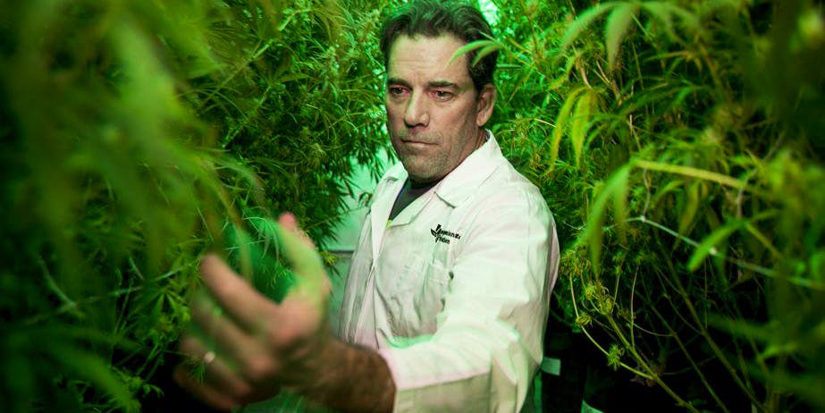 Compassionate Cultivation CEO Morris Denton Texas