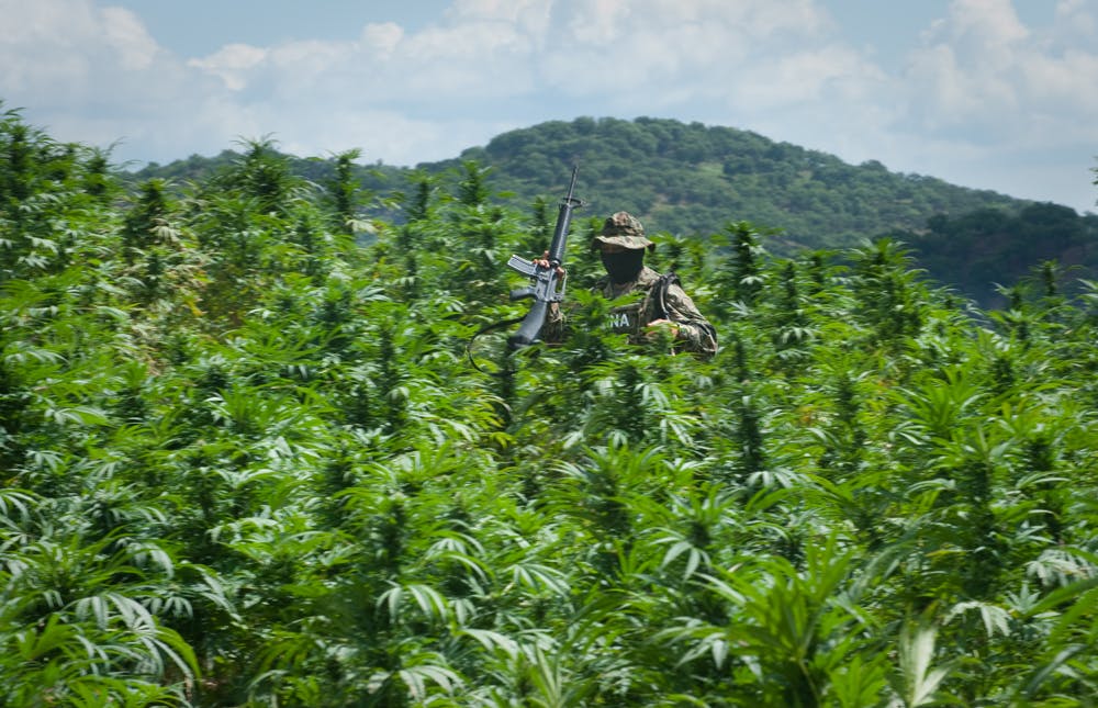GettyImages 97152924 These are the states most likely to legalize at the polls in 2018