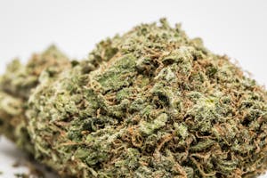 Ice Cream Marijuana Strain