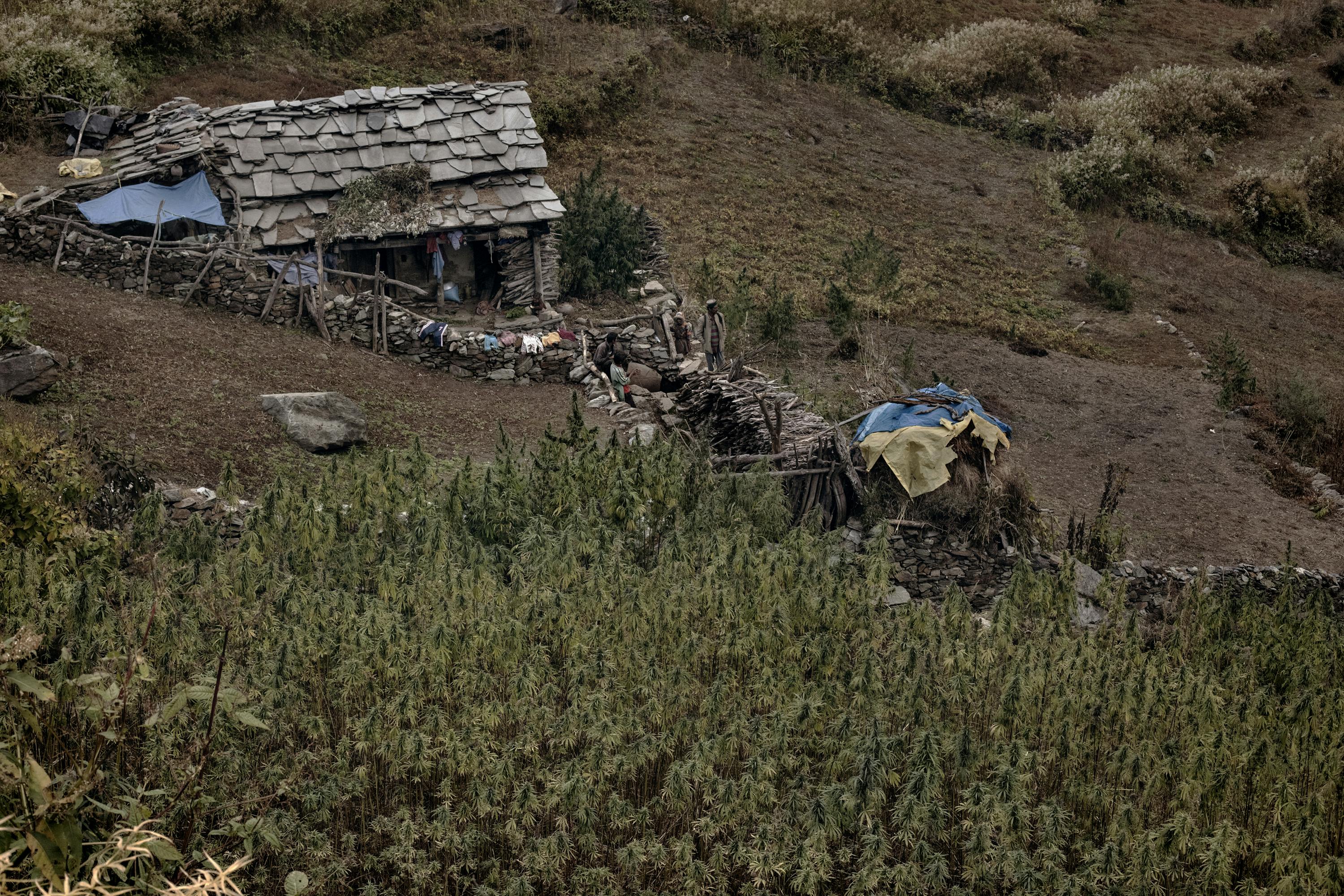 MG 6043 Deep in the Himalayas, a village tries to grow amidst ban