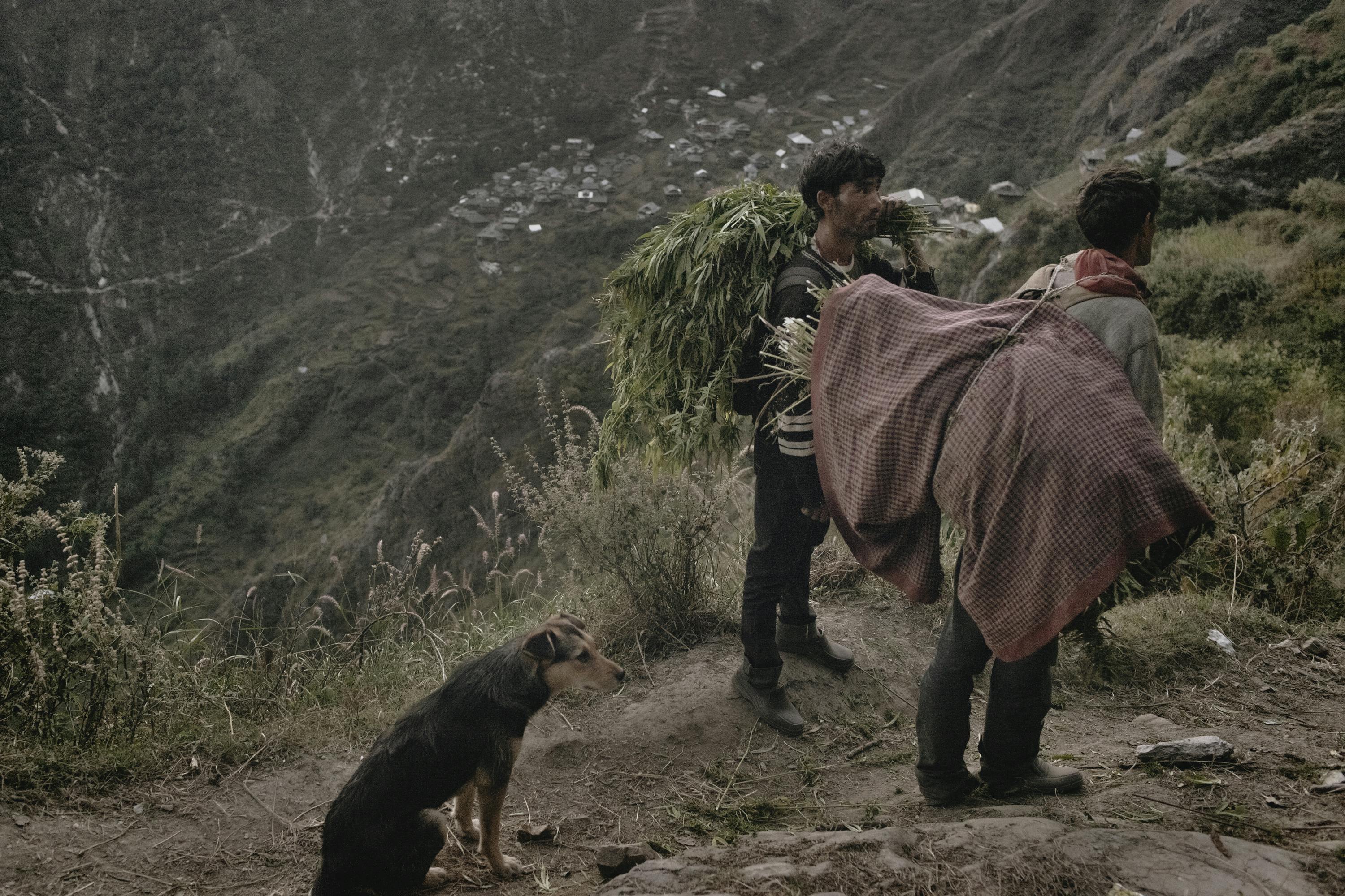 MG 6079 Deep in the Himalayas, a village tries to grow amidst ban