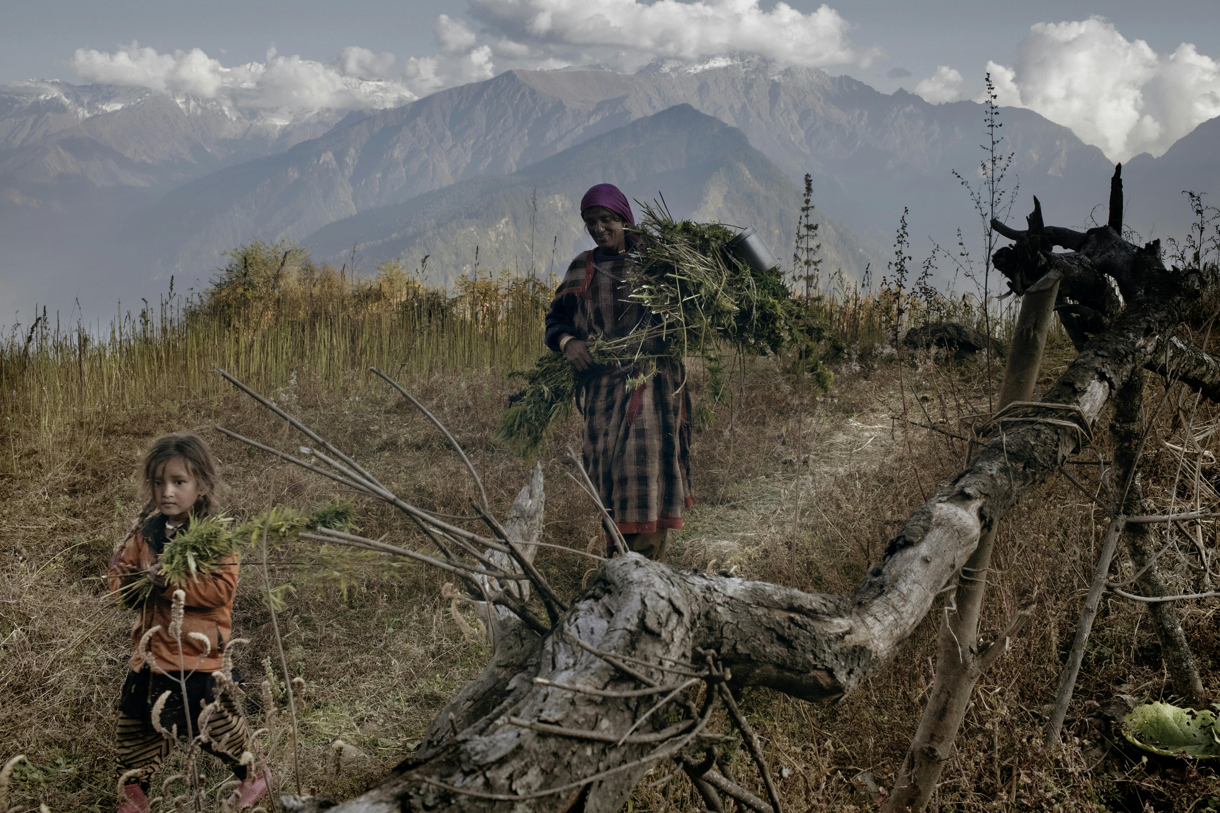 MG 6145 1 Deep in the Himalayas, a village tries to grow amidst ban