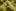 bonita money for herb final 0592 Voters, beware: We interviewed the Cannabis Candidate and hes full of it