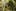 bonita money for herb final 0715 Voters, beware: We interviewed the Cannabis Candidate and hes full of it