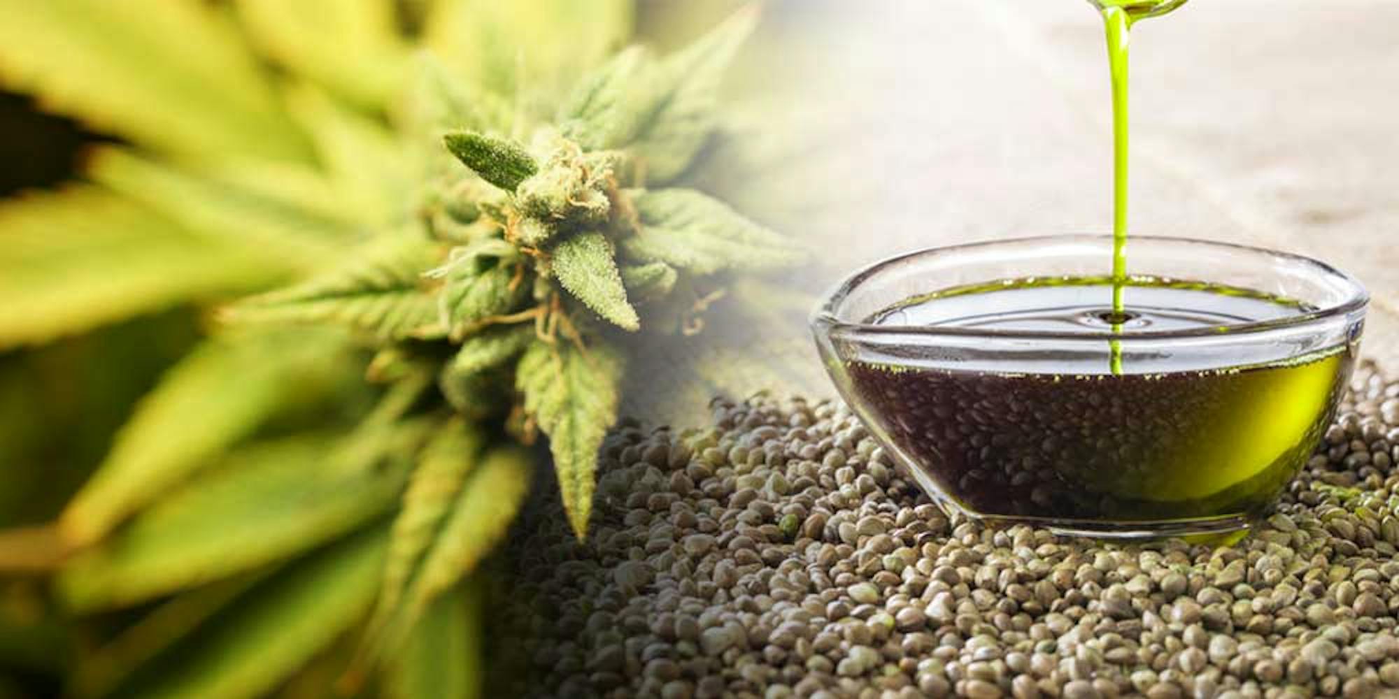 10 Best CBD Oils and CBD Products on the Market - Herb - Herb