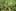 resized7 How to microdose weed and treat anxiety