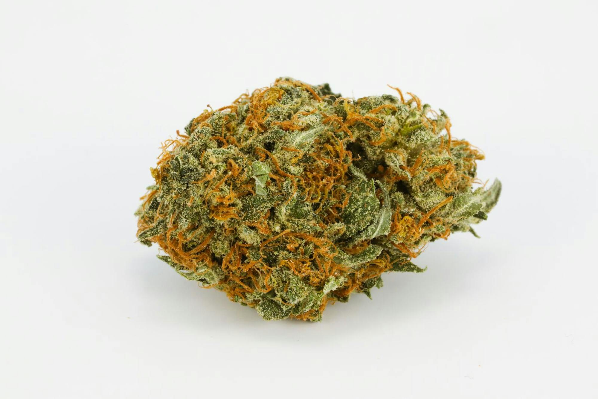 Alien Rock Candy Strain of Marijuana | Weed | Cannabis | Herb | Herb