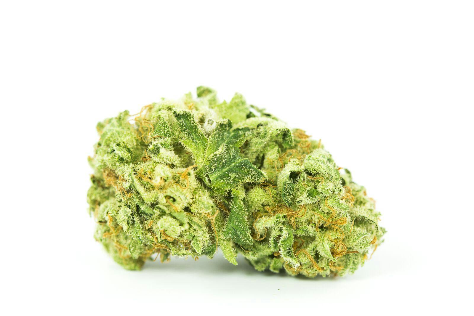 Amnesia Lemon Weed; Amnesia Lemon Cannabis Strain; Amnesia Lemon Sativa Marijuana Strain