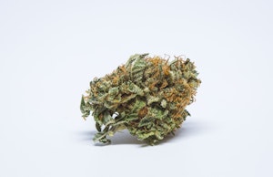 BC Big Bud Marijuana Strain