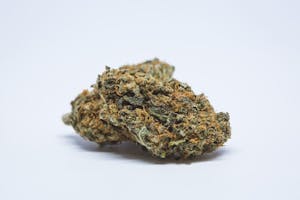 Black D.O.G. Marijuana Strain