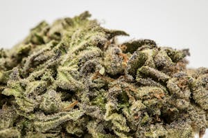 Candy Skunk Marijuana Strain