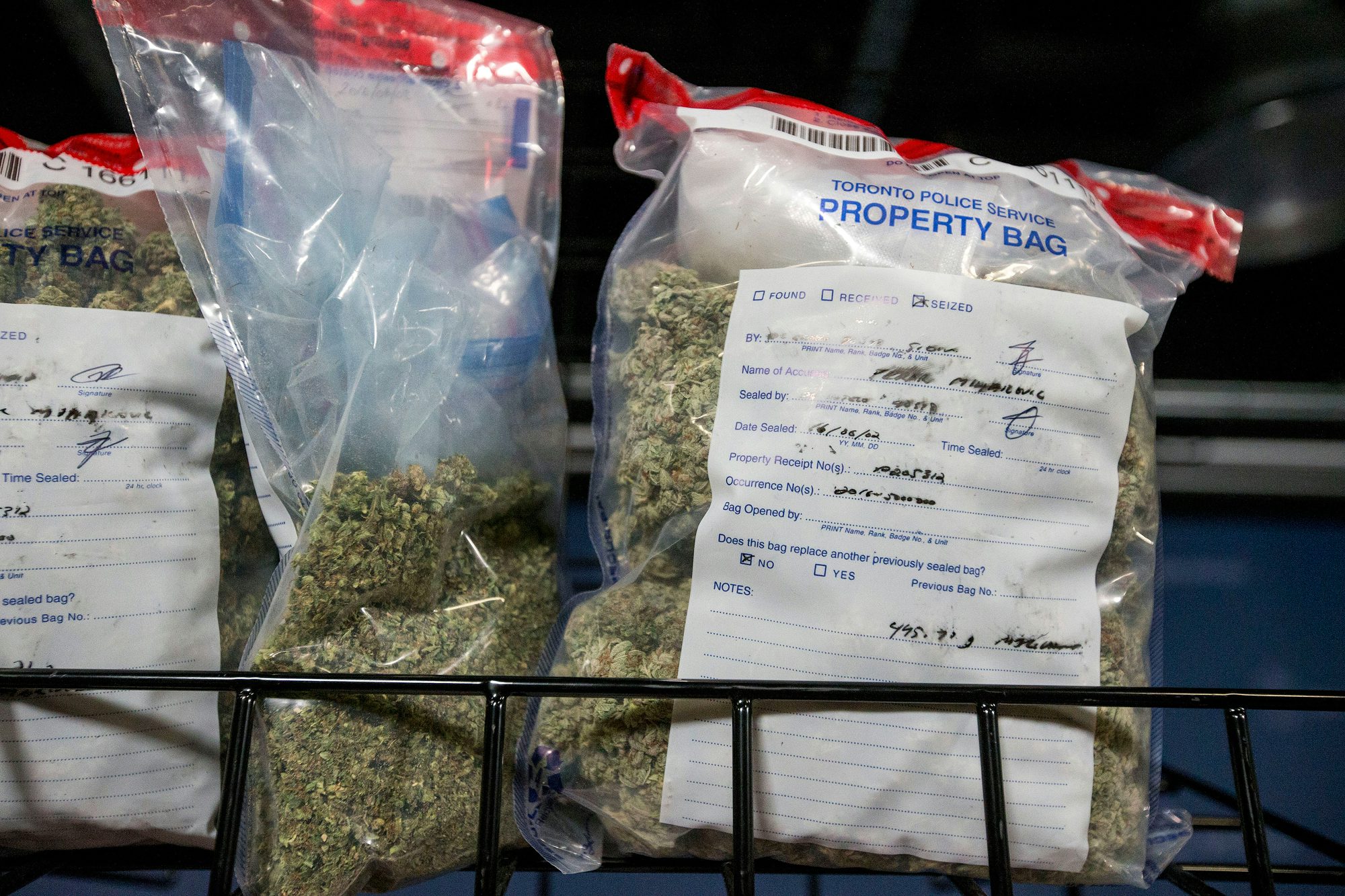 CannabisPoliceSeize How to store your marijuana for maximum flavor and potency