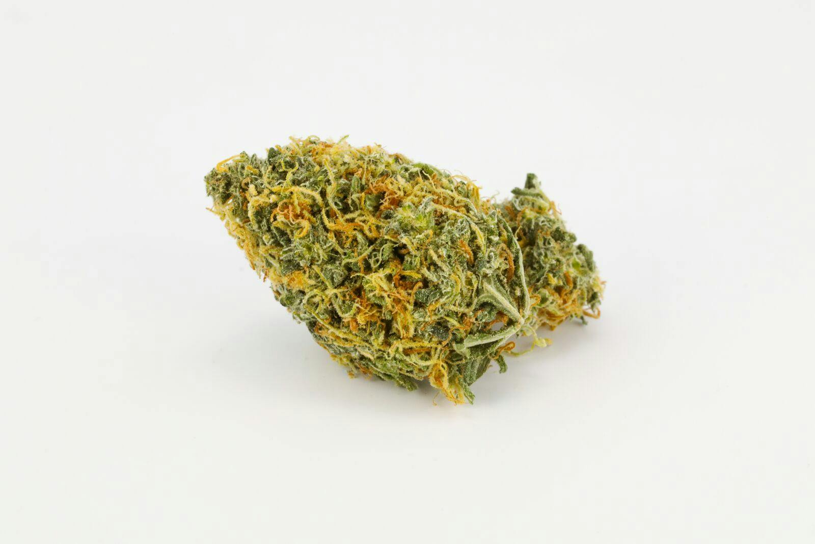 Chocolate Kush Weed; Chocolope Kush Cannabis Strain; Chocolope Indica Marijuana Strain