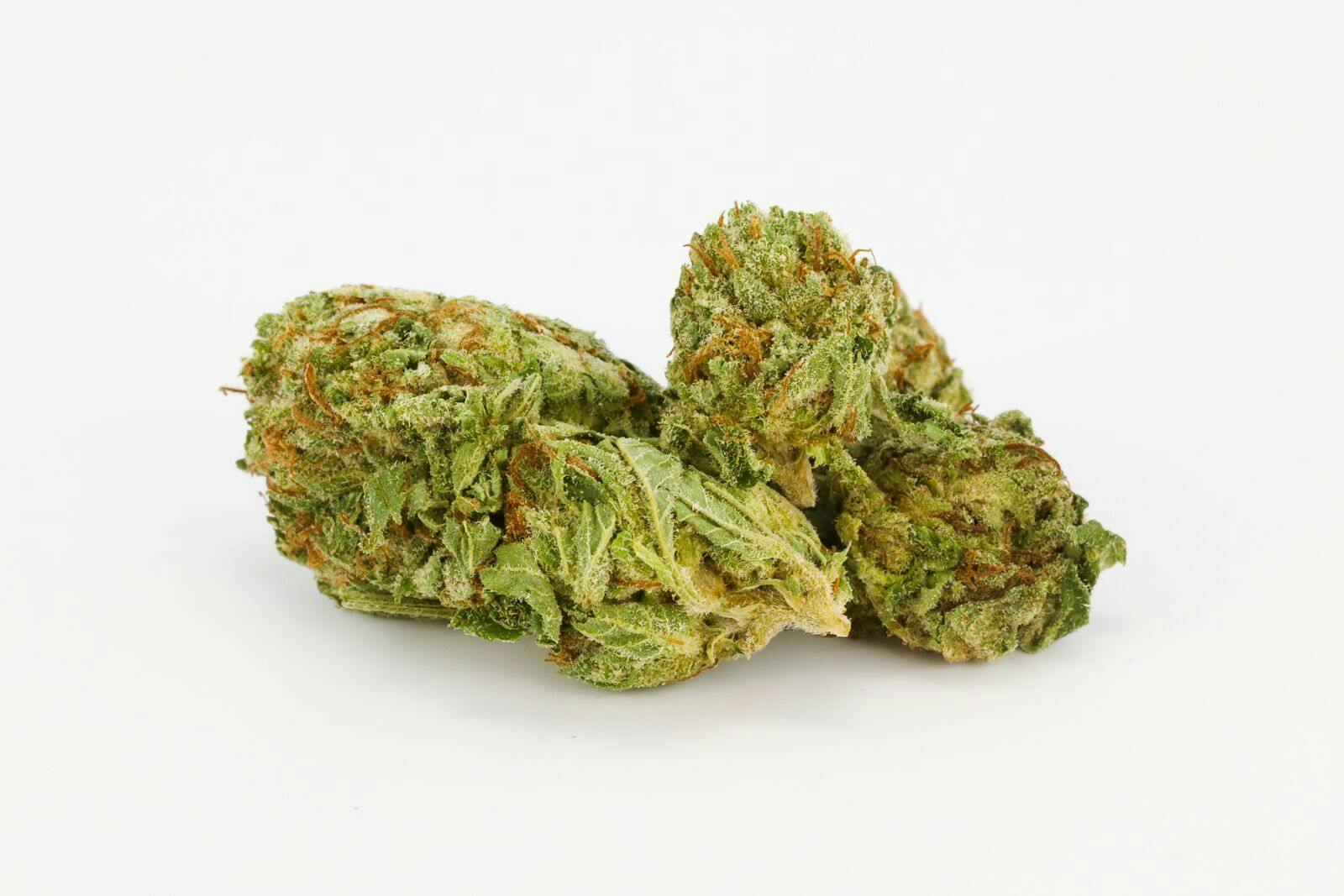 Chronic Weed; Chronic Cannabis Strain; Chronic Hybrid Marijuana Strain