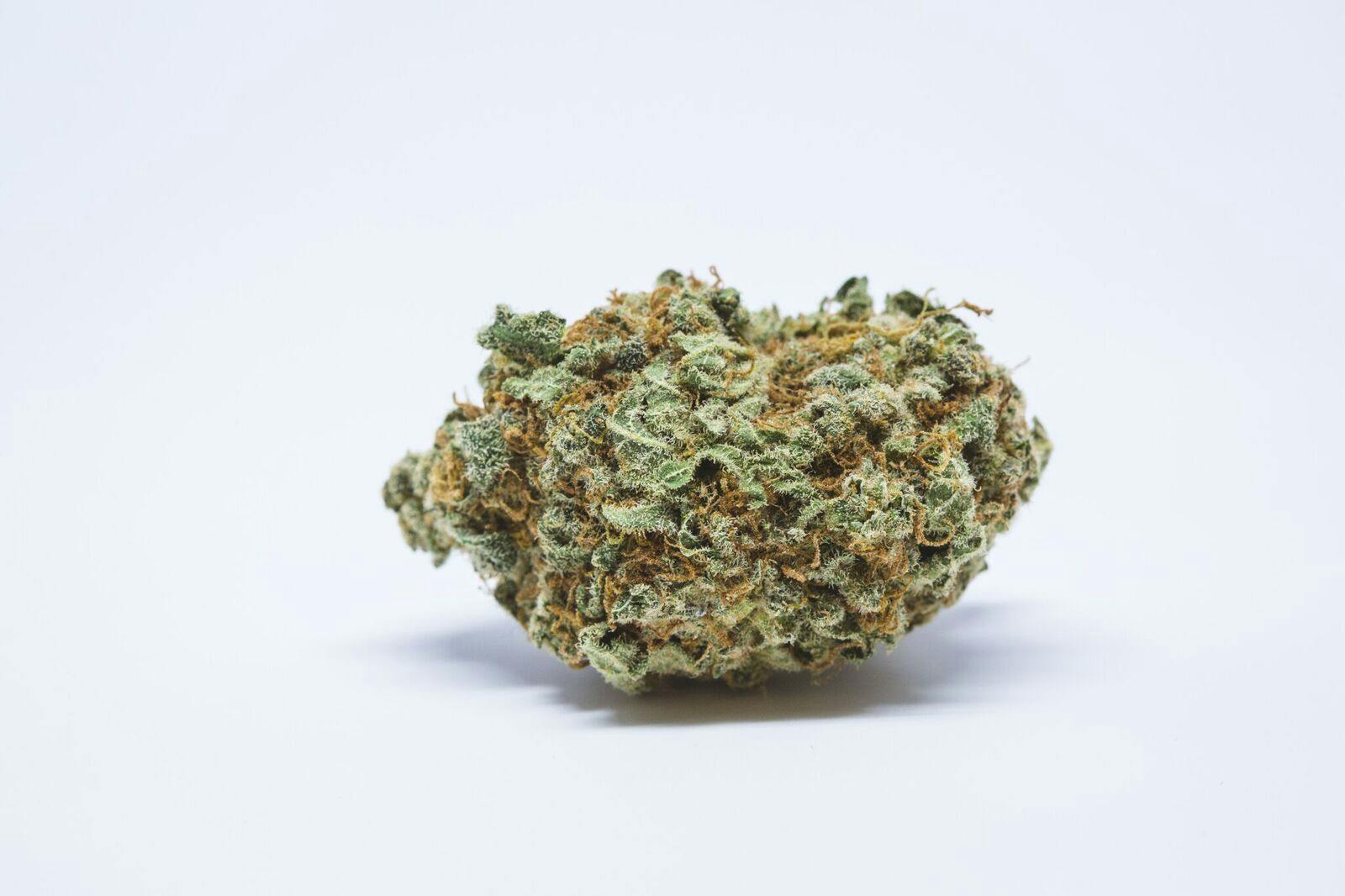 Citrus Kush Weed; Citrus Kush Cannabis Strain; Citrus Kush Hybrid Marijuana Strain