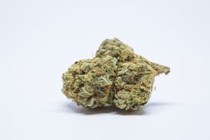 Dairy Queen Marijuana Strain