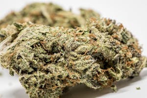 GG5 Marijuana Strain