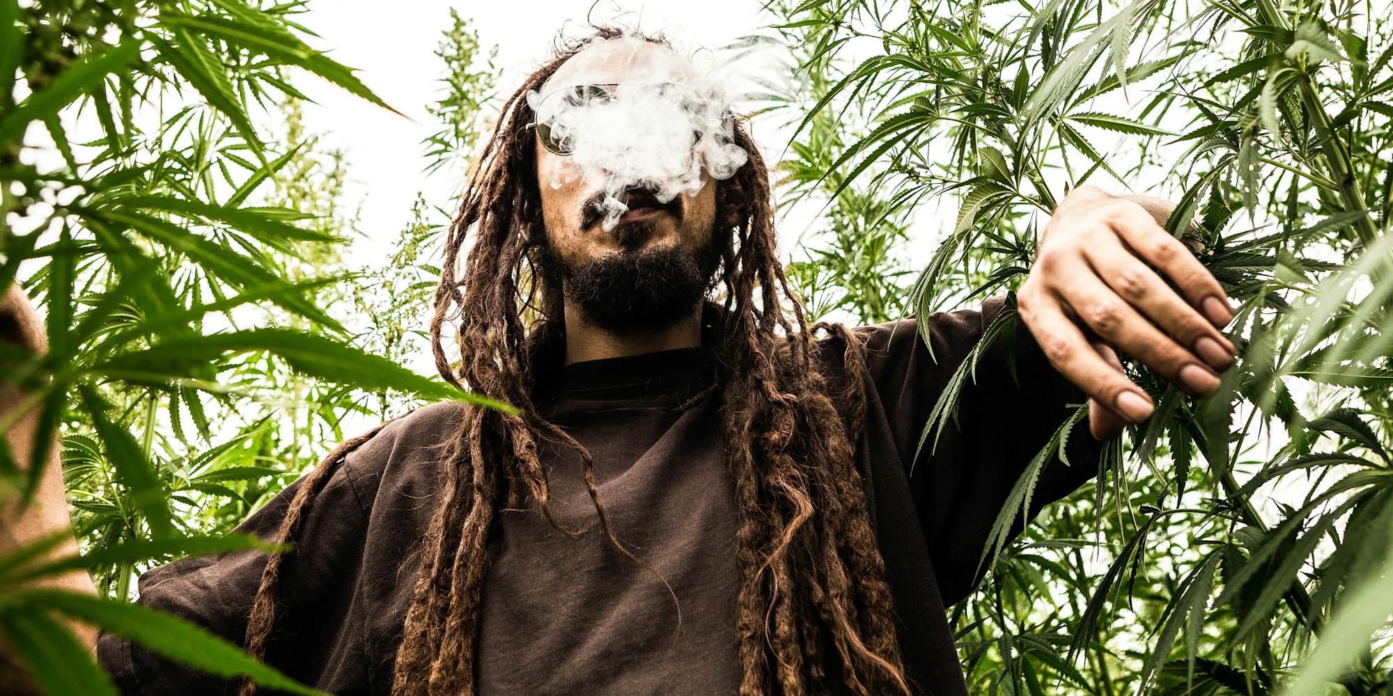 The 5 Best Products For Successfully Smoking Weed Outside