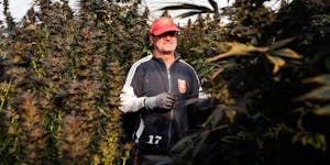 Switzerland Considers Making Cannabis Legal and Approves Pilot Programs