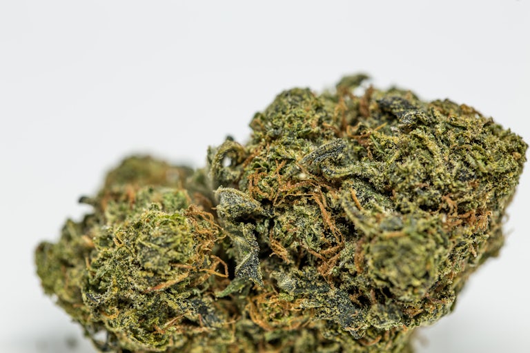 Green Crack 2 Watch Snoop Dogg Smoke A Blunt In Front Of The White House