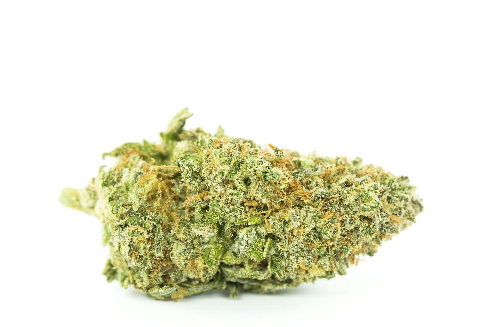 Huckleberry Weed; Huckleberry Cannabis Strain; Huckleberry Hybrid Marijuana Strain