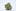 Jah Kush Weed; Jah Kush Cannabis Strain; Jah Kush Hybrid Marijuana Strain