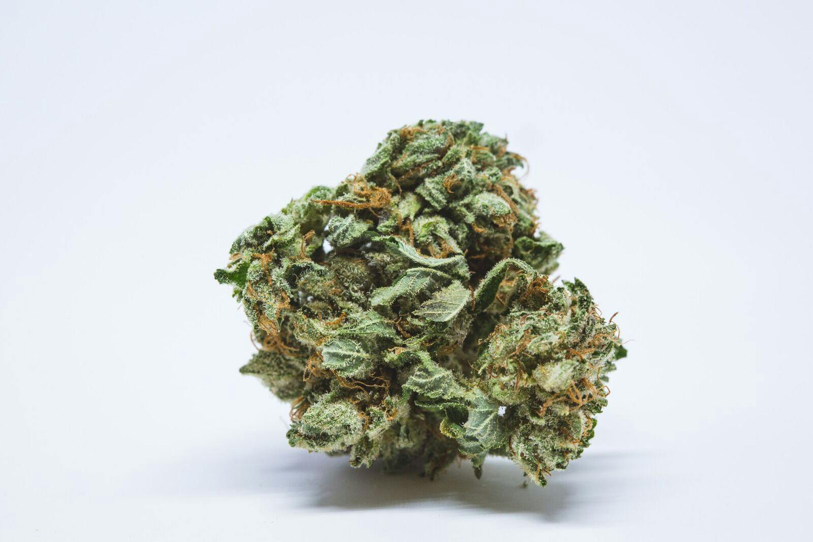 Jah Kush Weed; Jah Kush Cannabis Strain; Jah Kush Hybrid Marijuana Strain