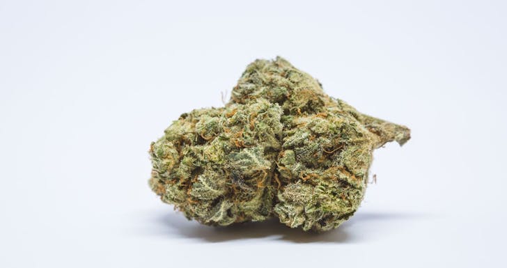 Killer Queen Weed; Killer Queen Cannabis Strain; Killer Queen Hybrid Marijuana Strain