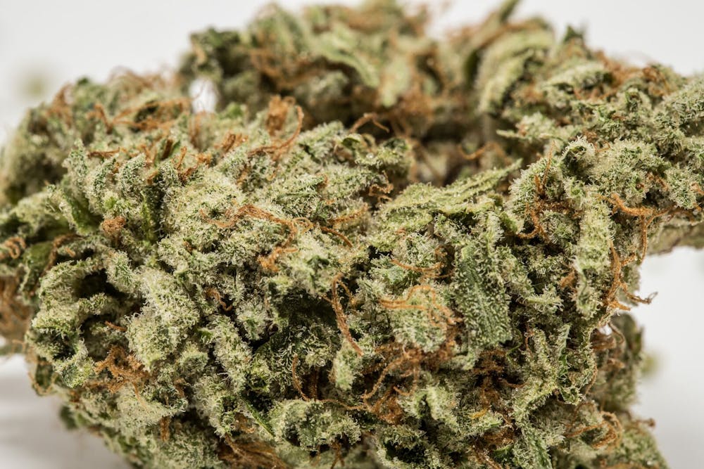 LA Kush Strain of Marijuana | Weed | Cannabis | Herb | Herb