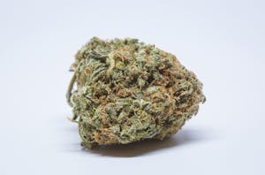 Lemon G Marijuana Strain