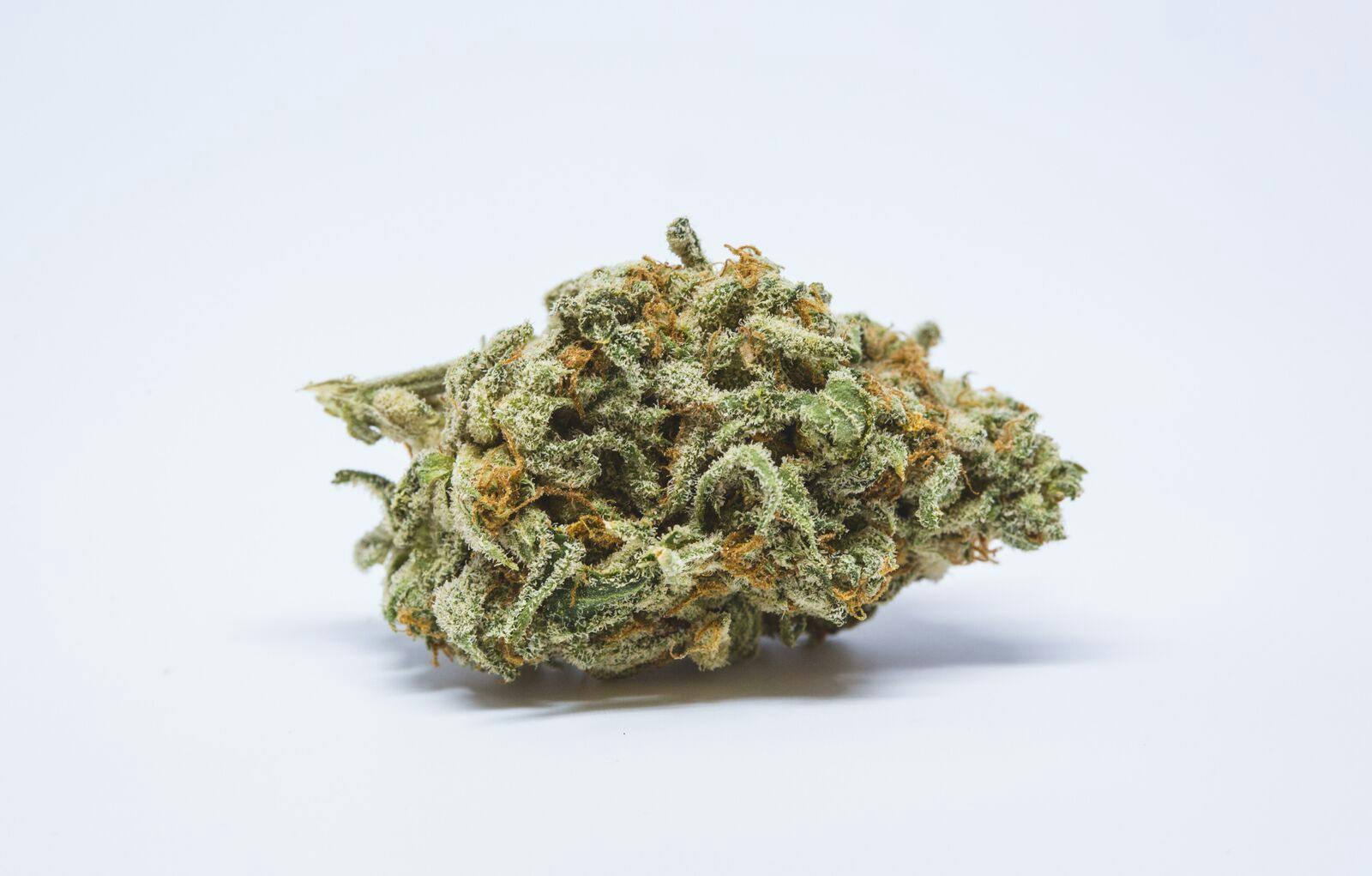 Mother's Helper Weed; Mother's Helper Cannabis Strain; Mother's Helper Hybrid Marijuana Strain