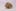 Nuken Weed; Nuken Cannabis Strain; Nuken Indica Marijuana Strain