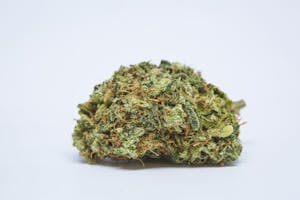 OG Cheese Marijuana Strain