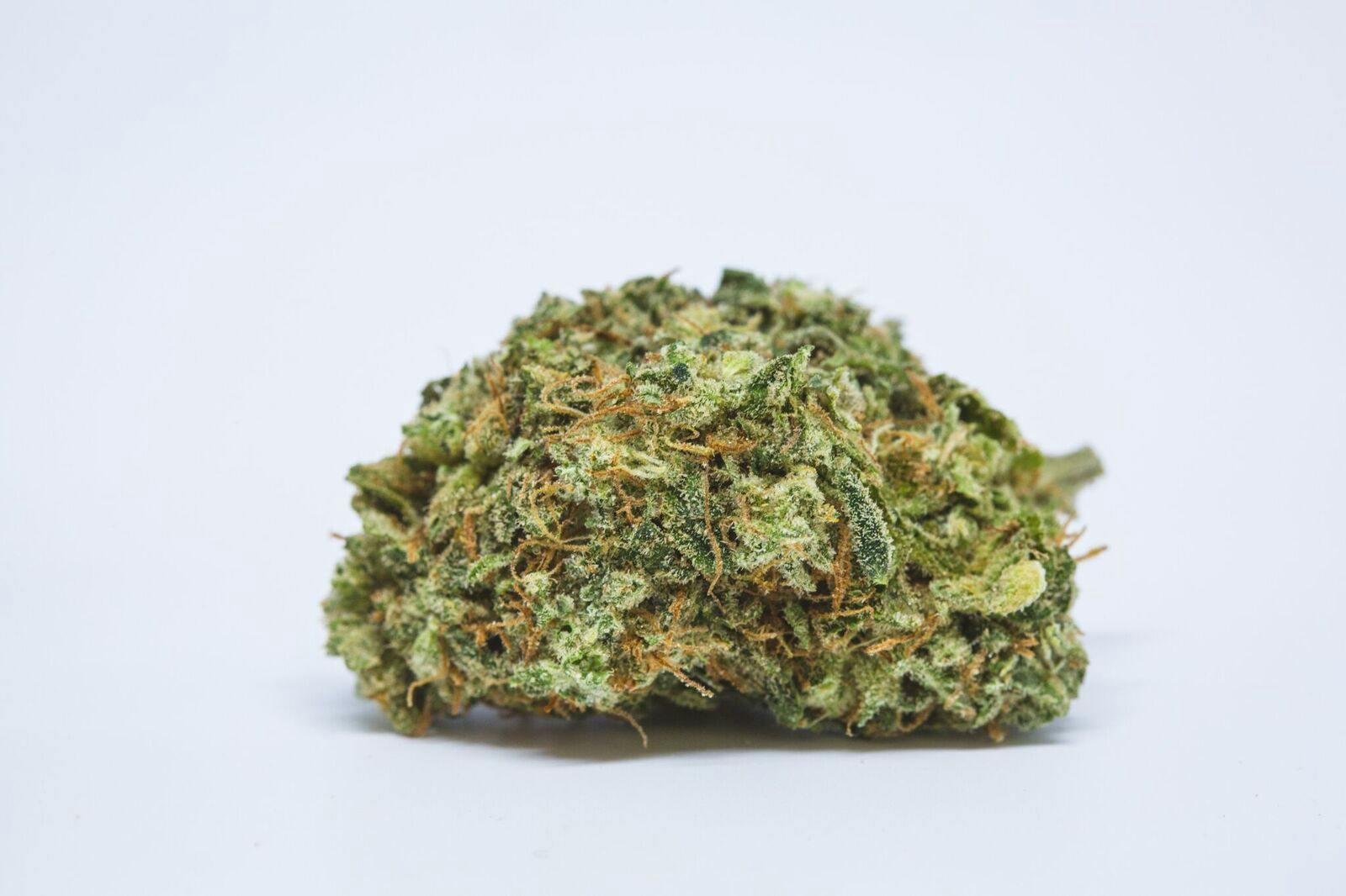 OG Cheese Weed; OG Cheese Cannabis Strain; OG Cheese Hybrid Marijuana Strain