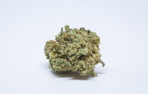 Oregon Diesel Marijuana Strain