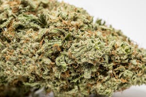 Pineapple Jack Marijuana Strain