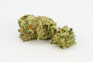 Purple Amnesia Marijuana Strain