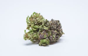 Purple Gorilla Marijuana Strain