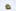 Quantum Kush Weed; Quantum Kush Cannabis Strain; Quantum Kush Sativa Marijuana Strain