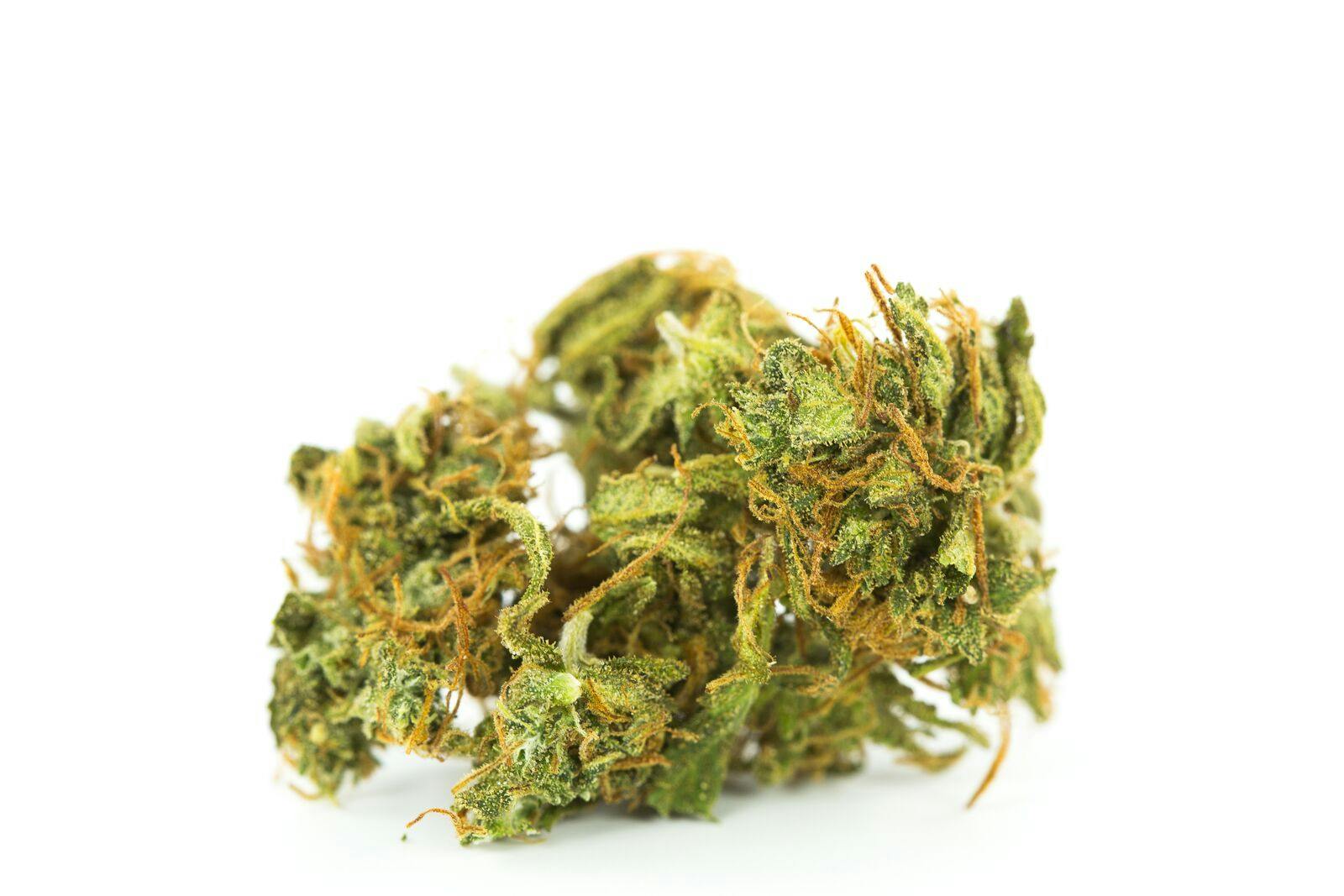 Red Congolese Weed; Red Congolese Cannabis Strain; Red Congolese Sativa Marijuana Strain