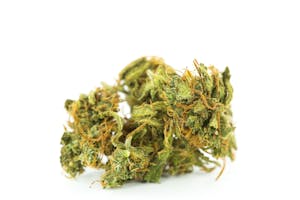 Red Congolese Marijuana Strain