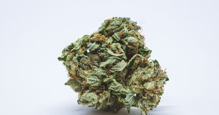 Redwood Kush Weed; Redwood Kush Cannabis Strain, Redwood Kush Indica Marijuana Strain