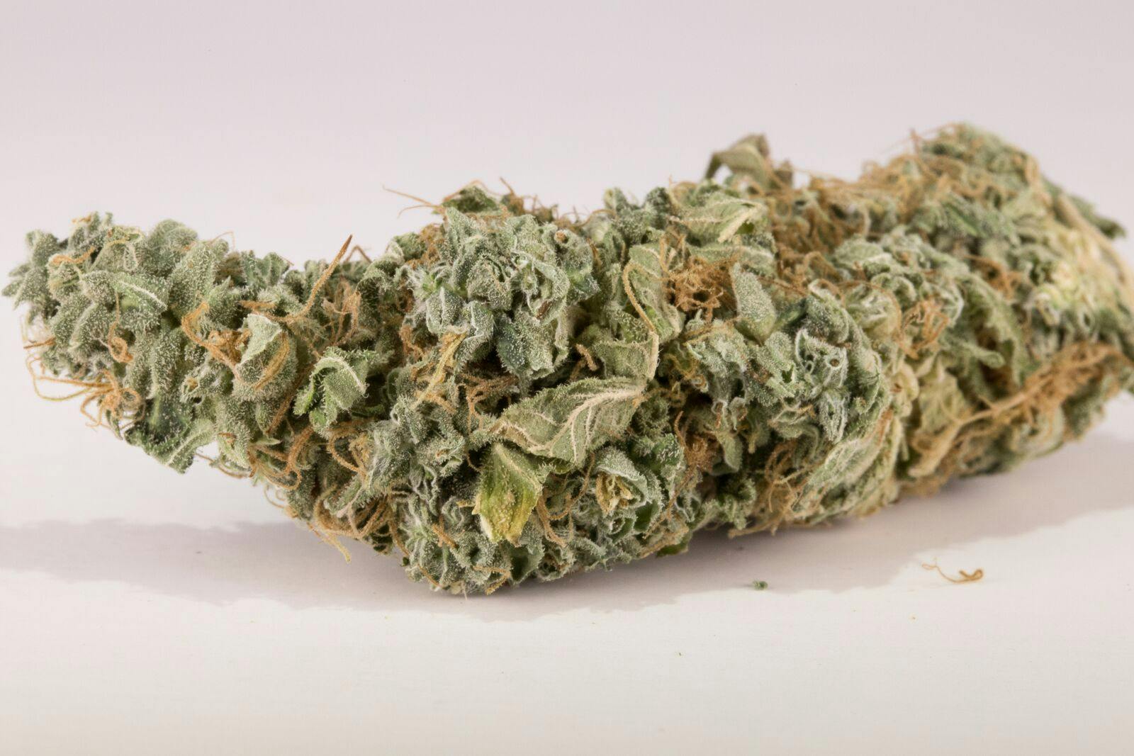 Rene Haze Weed; Rene Haze Cannabis Strain; Rene Haze Sativa Marijuana Strain
