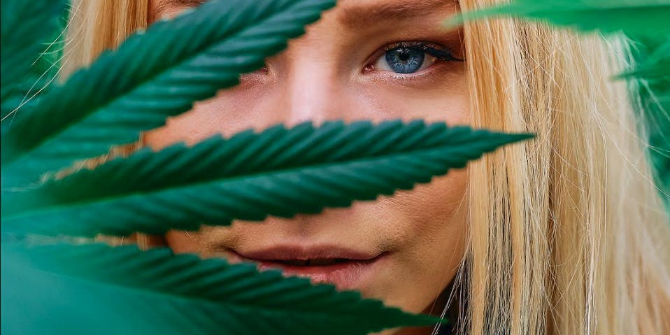 In this article we explore "What is Weed?" Here a woman is shown peering through a cannabis leaf