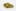 Shark Shock Weed; Shark Shock Cannabis Strain; Shark Shock Indica Marijuana Strain