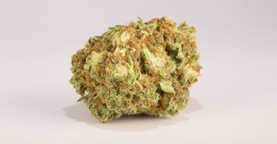 Sour Amnesia Weed, Sour Amnesia Cannabis Strain, Sour Amnesia Sativa Marijuana Strain