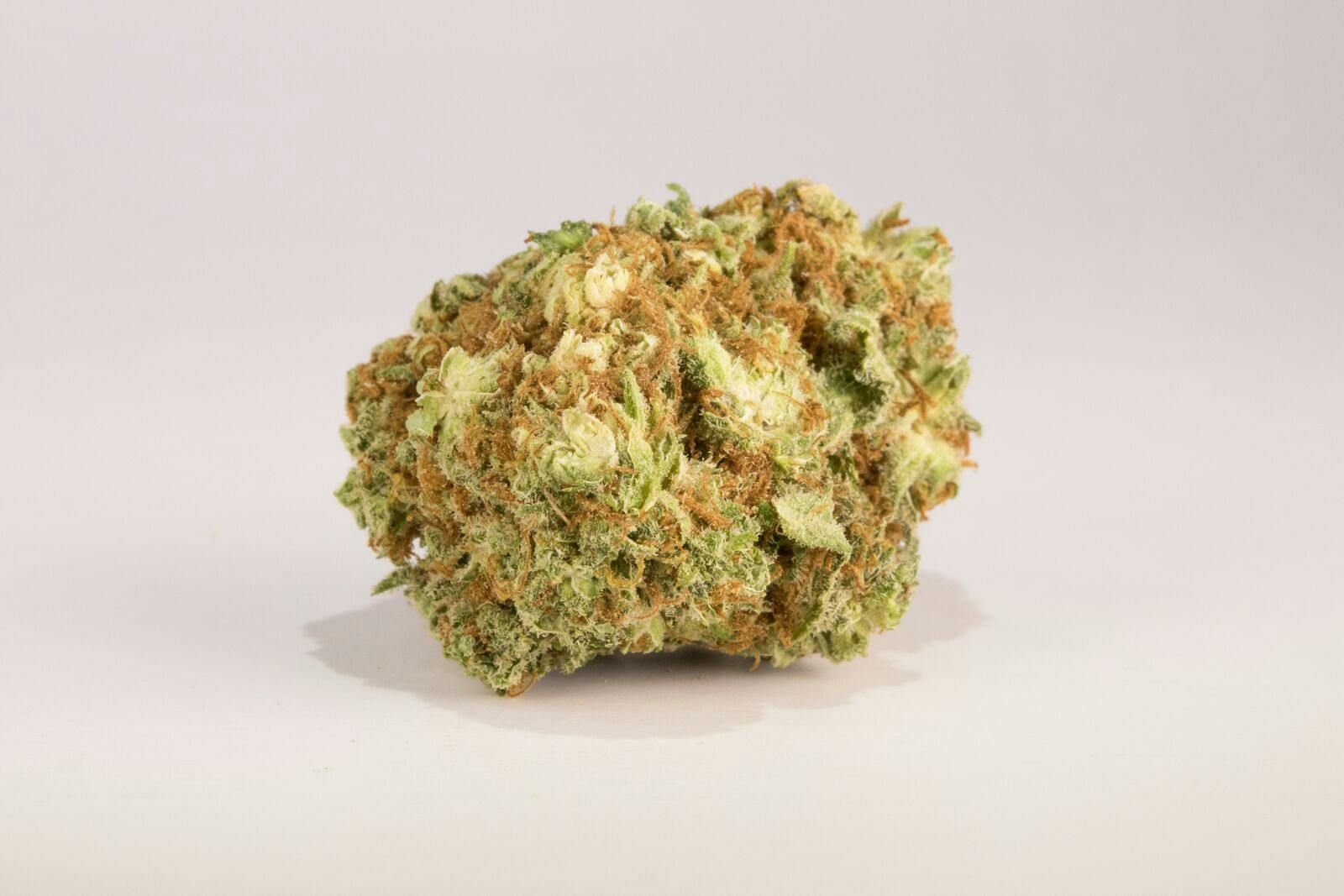 Sour Amnesia Weed, Sour Amnesia Cannabis Strain, Sour Amnesia Sativa Marijuana Strain